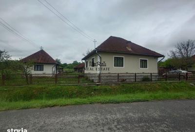 Casă cu 4 camere cu Teren 2651 Mp în Baia de Criș - 17