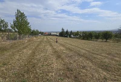 Teren de 4270 mp, în Agapia - 3