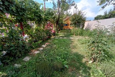 Casă cu Teren 1060 Mp în Beriu - 3