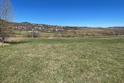 Case de vacanta de vanzare in Agapia, Neamt. Venit pasiv. - 4