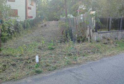 Teren de 3750 mp, în Teișani - 2