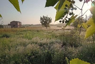 Teren de 4200 mp, în Giarmata - 1