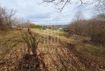 Teren Intravilan 2.938 mp | Tocile
