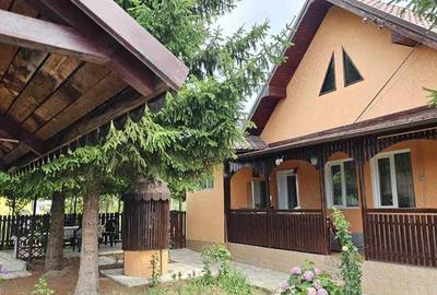 Vand casa in satul Seuca comuna Gane?ti - 2