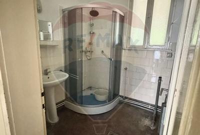 Casa / Vila cu 3 camere de vanzare in zona Vest - 11