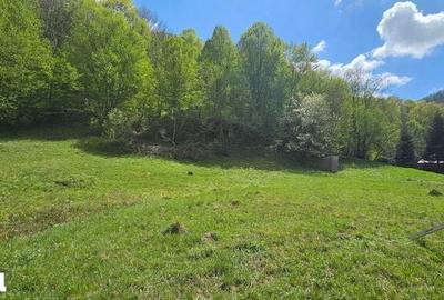 Teren de 2450 mp, în Bulz