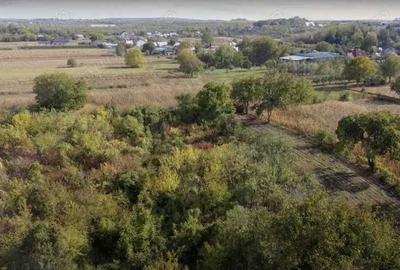 Teren de 6000 mp, în Exterior Vest - 2