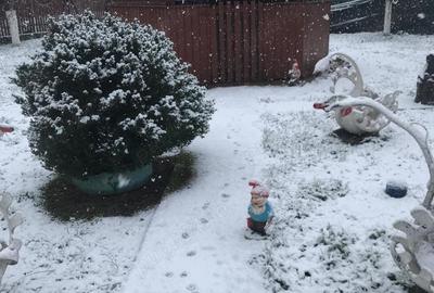 Casa de vanzare in sat Stefanesti, Ileana - 8