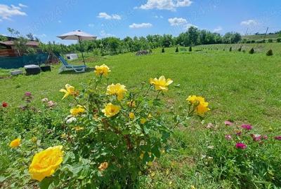 Casă cu 3 camere în Miersig - 3