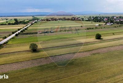 Teren de 6000 mp, în Biliești - 3