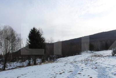 Teren de 11600 mp, în Central - 2