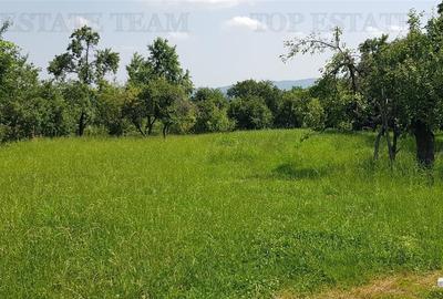 Teren intravilan Campulung  2.957 mp cu livada, anexa si acces utilitati, Campu - 3