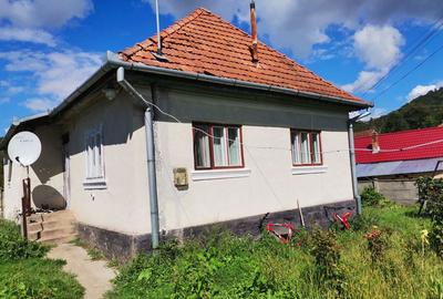 Casă cu 5 camere cu Teren 6800 Mp în Hărțăgani - 10