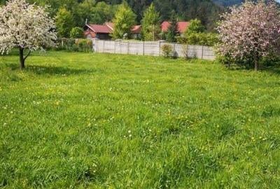 Teren cu proiect casa, in vecinatatea padurii Bradet, Sacele, Brasov - 2