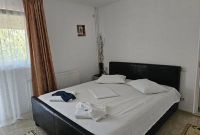 Casă cu 5 camere cu Teren 496 Mp în Central - 10