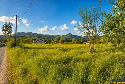 Teren de 5750 mp, în Ibănești - 2