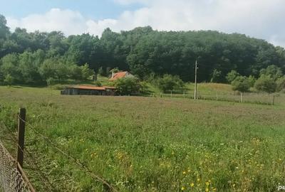 Casa de vanzare Casa de vanzare - 6