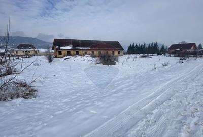 Teren Construcții intravilan de 3436 mp, în Hoghilag - 5