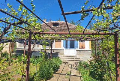 Casa in Babadag, str Stejarului - 3