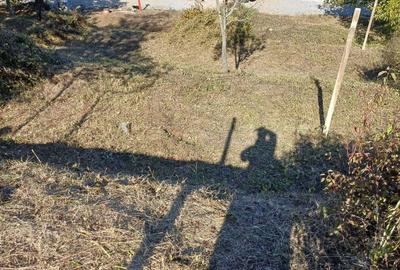 Spațiu comercial, în Central