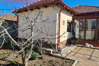 Casă individuală cu 5 camere cu Canalizare în Lumina - 2