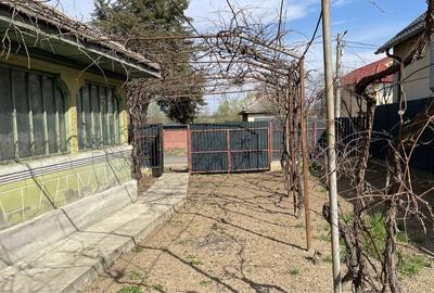 Casă cu 3 camere în Ciolpani - 7