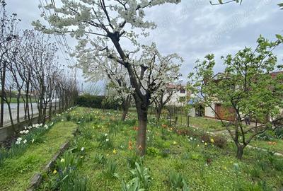 Vand casa spa?ioasa cu teren generos Sat Mineri, Somova, jud. Tulcea - 7