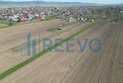 Teren de 10500 mp, în Nicolae Bălcescu - 7