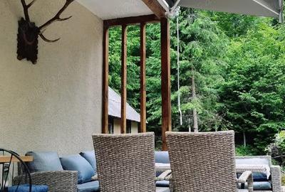 PF vand 3 case de vacanta Cabana Barlogul Colibita - 1