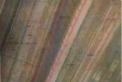 Teren de 16000 mp, în Oarja - 1