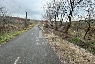 Teren de 1942 mp, în Herneacova