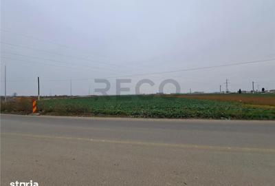 Teren de 6657 mp, în Tăut - 1