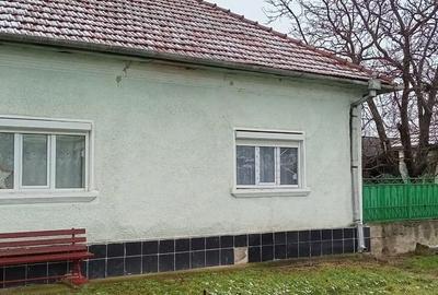 Casă cu 4 camere cu Teren 1500 Mp în Bârsa - 10