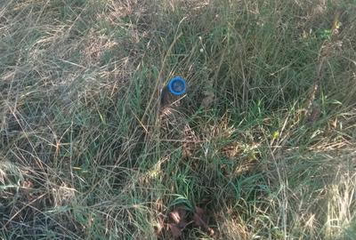 100Omp, Clinceni, Str Rozelor - 12