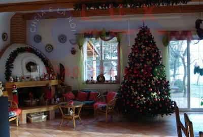 ID 6471 Casa la sol *Comuna Somova ID 6471 Casa la sol *Comuna Somova - 2