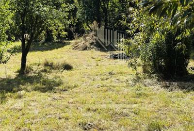 Teren de 3234 mp, în Lerești - 4