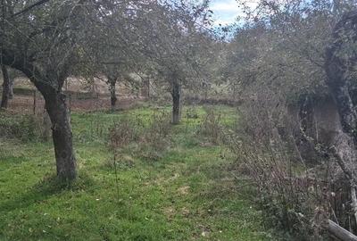 Ferma de vanzare , zona Dambu - 1