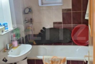 Apartament cu 2 camere decomandat, mobilat în Obcini - 2