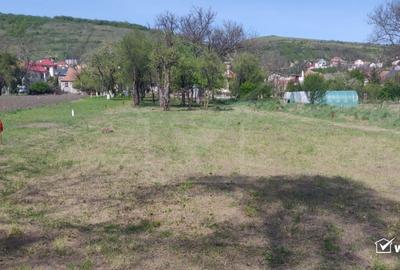 Teren Construcții intravilan de 2034 mp, în Baciu - 7