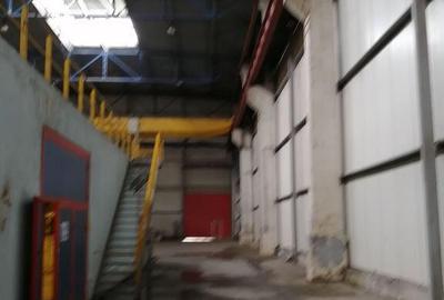 Birouri, spatiu industrial, hale Zona Libera Giurgiu ID 1... - 4