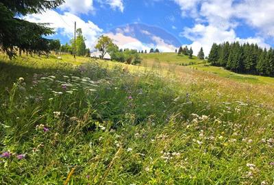 Teren de vis in Fundata 3868mp, la inal?imea sufletului tau - 6