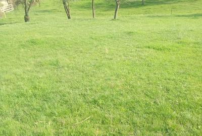 Teren de 8000 mp, în Meteș - 1