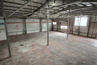 Spatii industriale  si comerciale  de inchiriat Focsani 5000 mp - 21