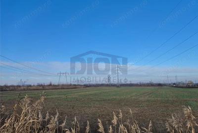 TEREN INTRAVILAN 10000 MP POPESTI LEORDENI HILS SPLAI - 5