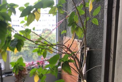 Apartament 3 camere Militari metrou Gorjului ! - 10