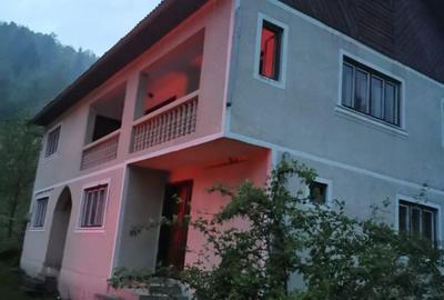 Casă individuală cu 4 camere cu Teren 39927 Mp în Valea Vișeului - 7