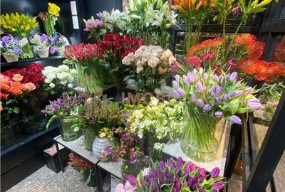 Afacere la cheie - Florarie cu traditie, pozitionata central - 4