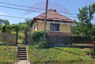 Casa de vanzare in DABACA / teren 2040 mp - 1