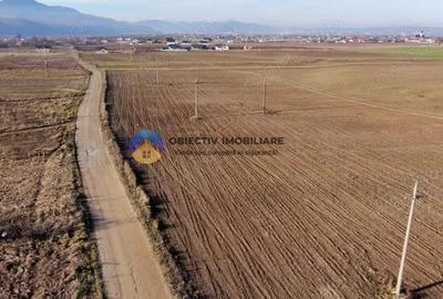 Teren de 3600 mp, în Dumbrava