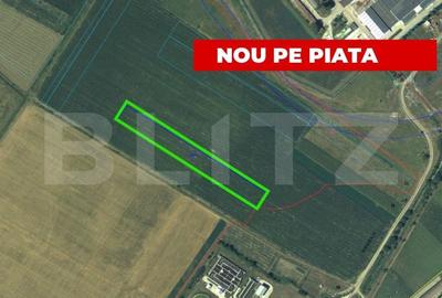 Teren Construcții extravilan de 9512 mp, în Partoș